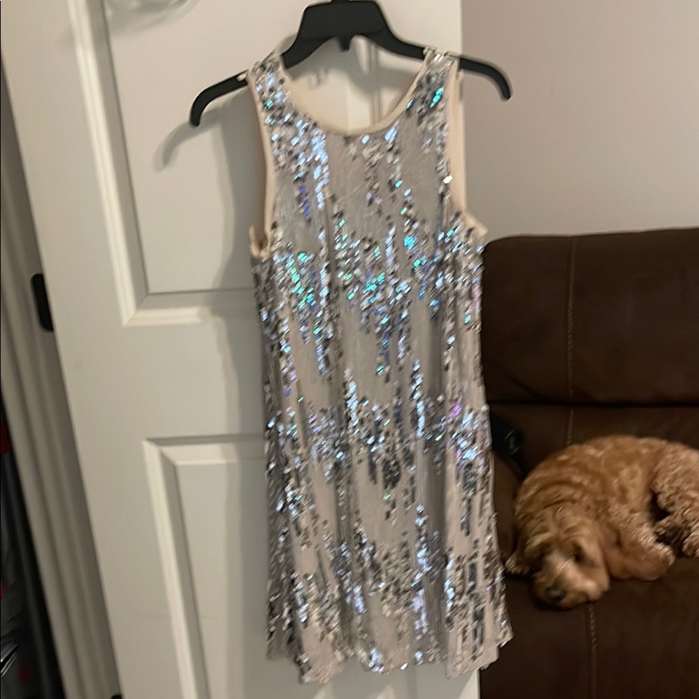 Sequin Sleeveless Dress